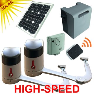 Solar-Set Hyke High-Speed Knickarm-Drehtorantrieb 2-flügelig